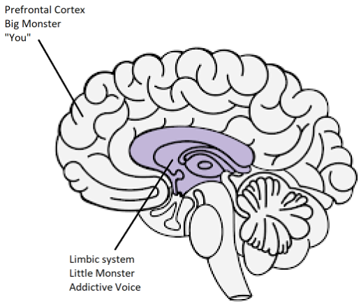 The ‘two brain’ model of addiction.