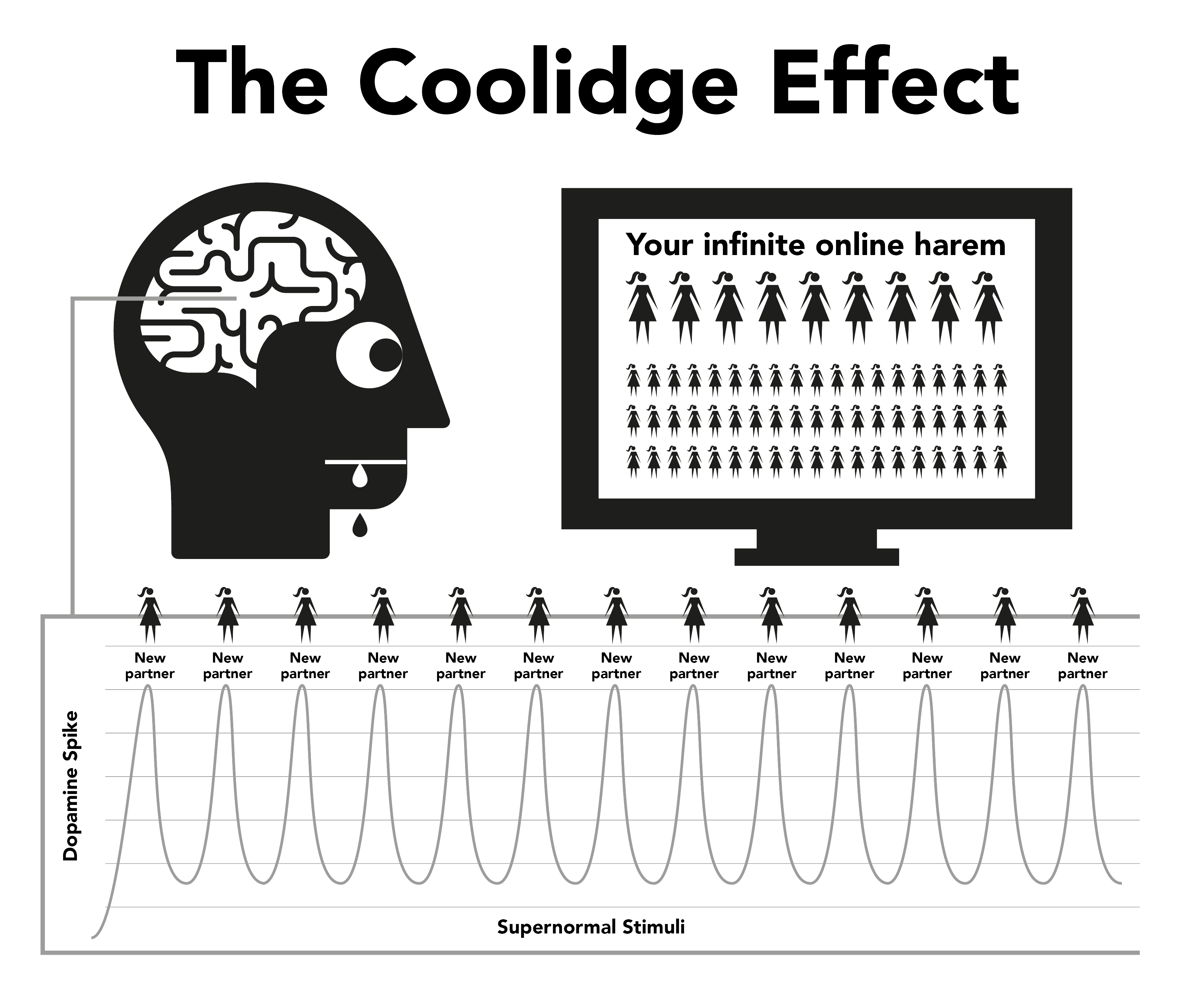 The Coolidge Effect graphic